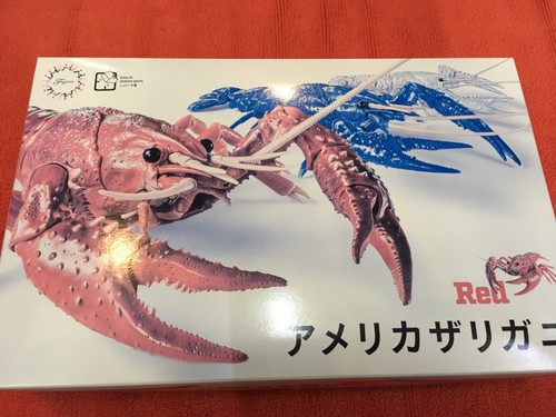 Fujimi roter flusskrebs - fujimi,