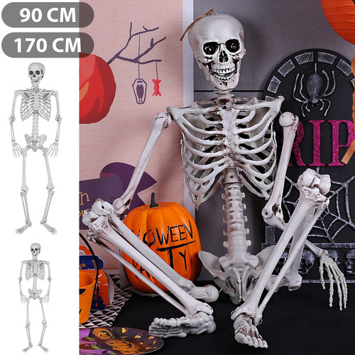 Skelett halloween lebensgroß - skelett,