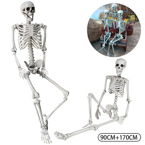170cm skelett halloween - skelett,