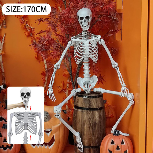 Skelett halloween lebensgroß - skelett,